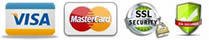 VISA Mastercard security